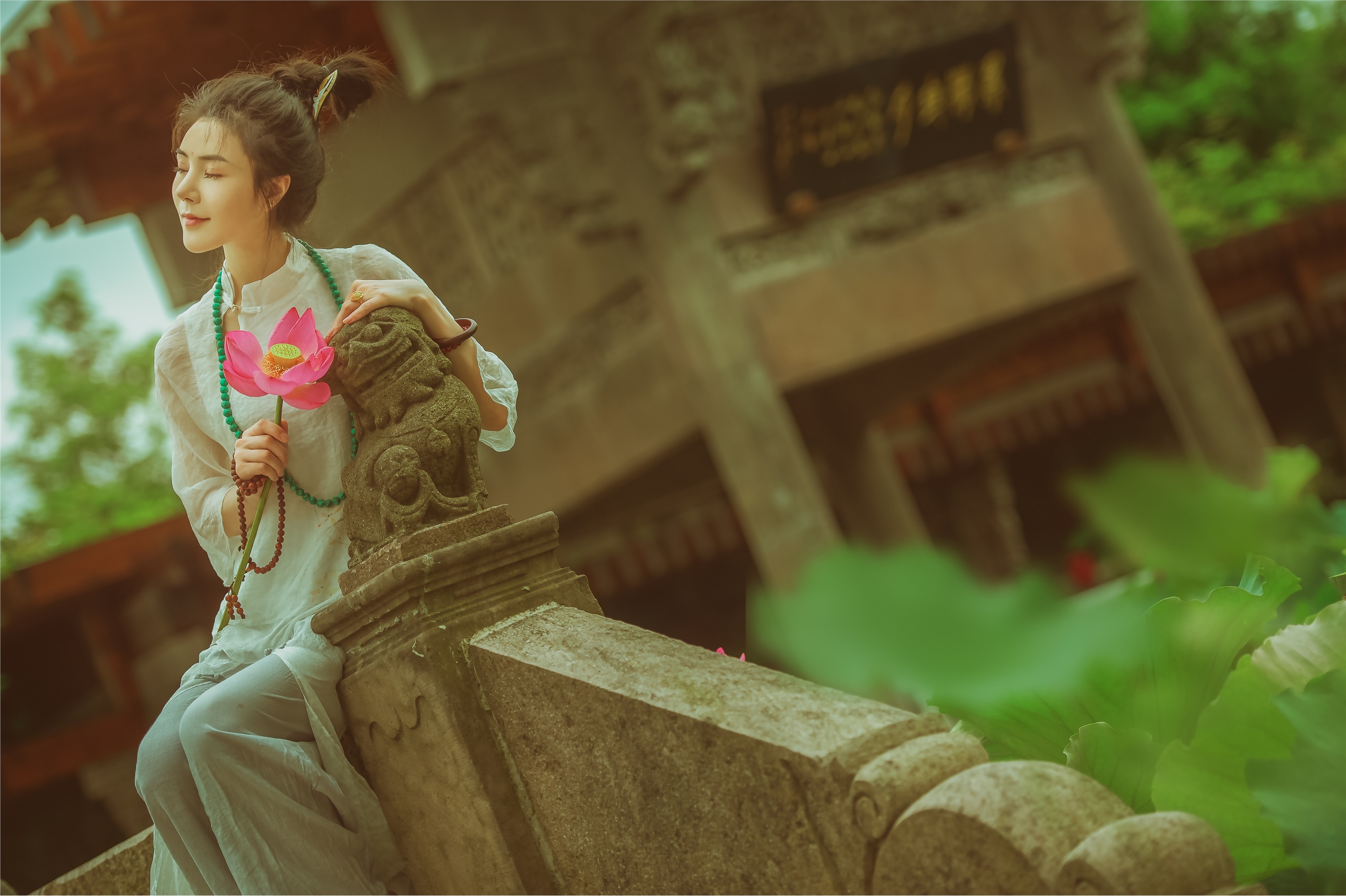 YITUYU艺图语 2021.08.14 赏荷记 颗颗树